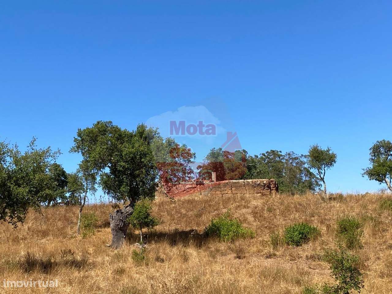 Quinta agrícola com habitação em São Bartolomeu da Serra-6