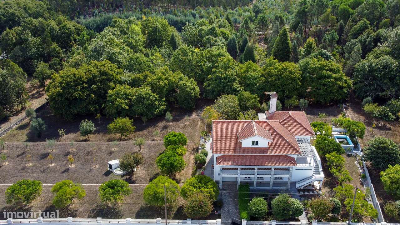 Quinta T6, Viseu, Santa Comba Dão, Santa Comba Dão e Couto do Mosteiro-5