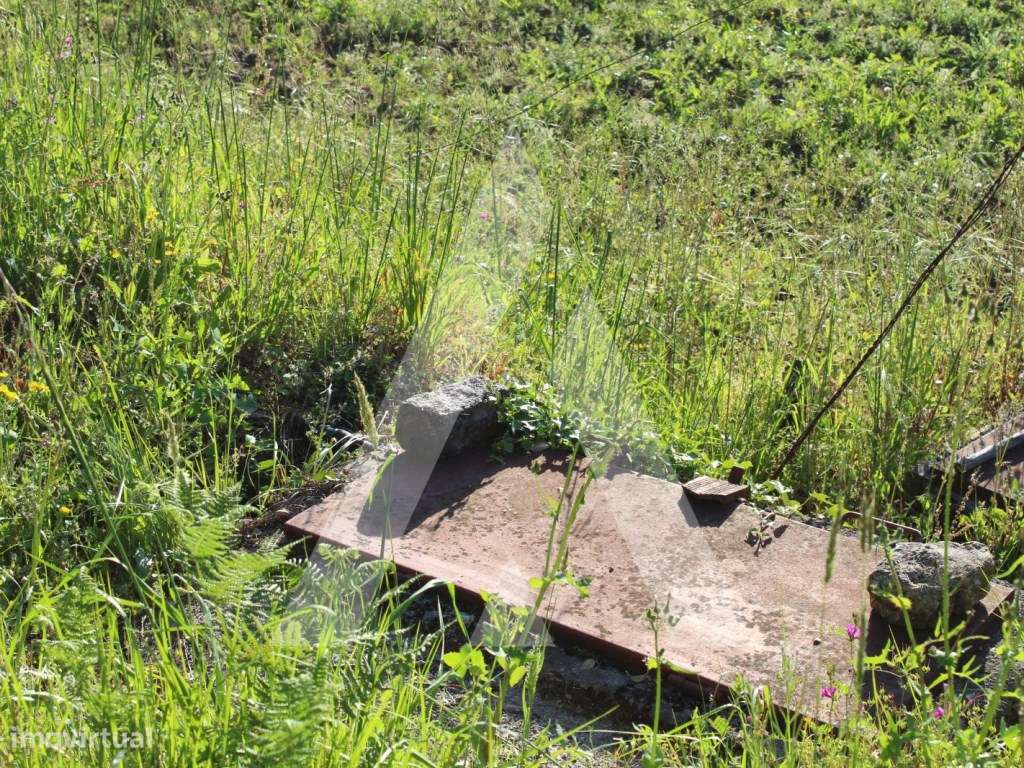 Terreno para construção em Paradela - Sever do Vouga - Grande imagem: 5/10