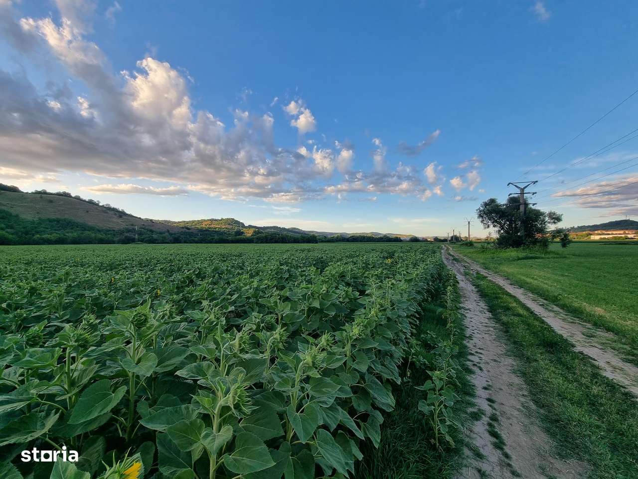 Teren pentru agricultură-2