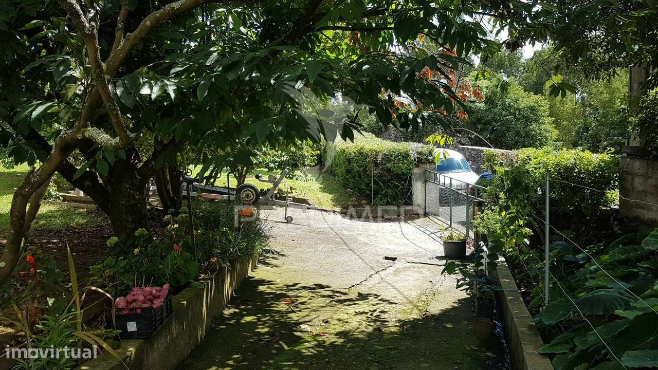 Refúgio Rural com Pomar e Casa de Apoio - Grande imagem: 4/18