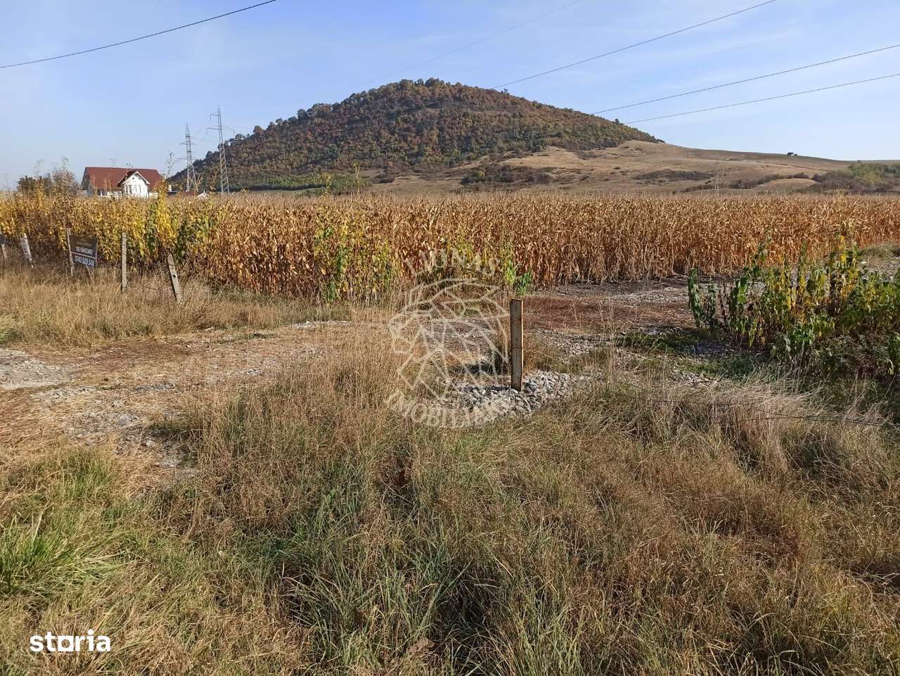 Teren 4606 mp-ideal investitie-Sarata - Imagine principală: 3/5