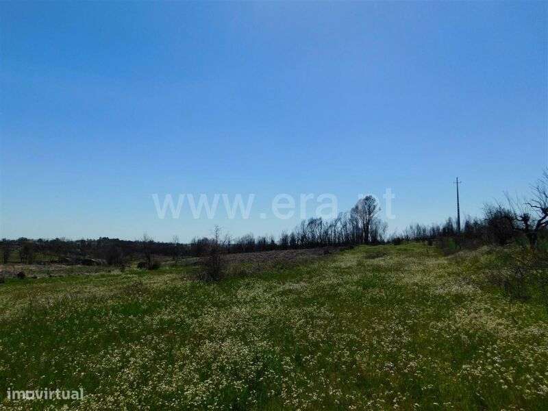 Terreno / Fundão, Soalheira - Grande imagem: 4/6