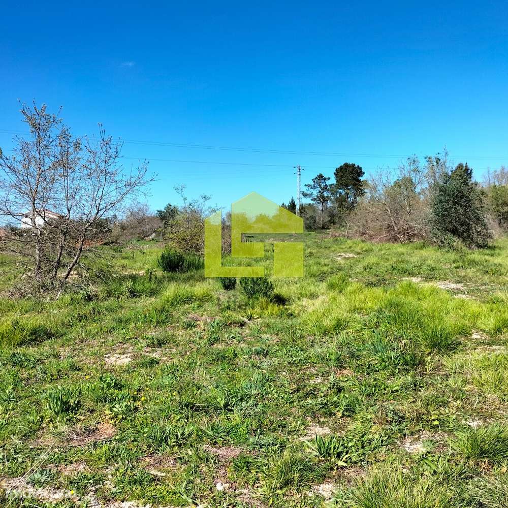 Terreno para Construção - Grande imagem: 5/25