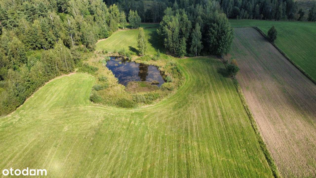 Przerośl - działka pod lasem - staw - 4 zł/m2-4