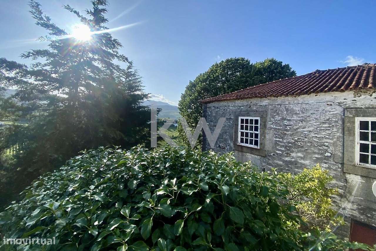 Quinta da Aveleira – Douro – Santa Marta de Penaguião - Grande imagem: 3/35