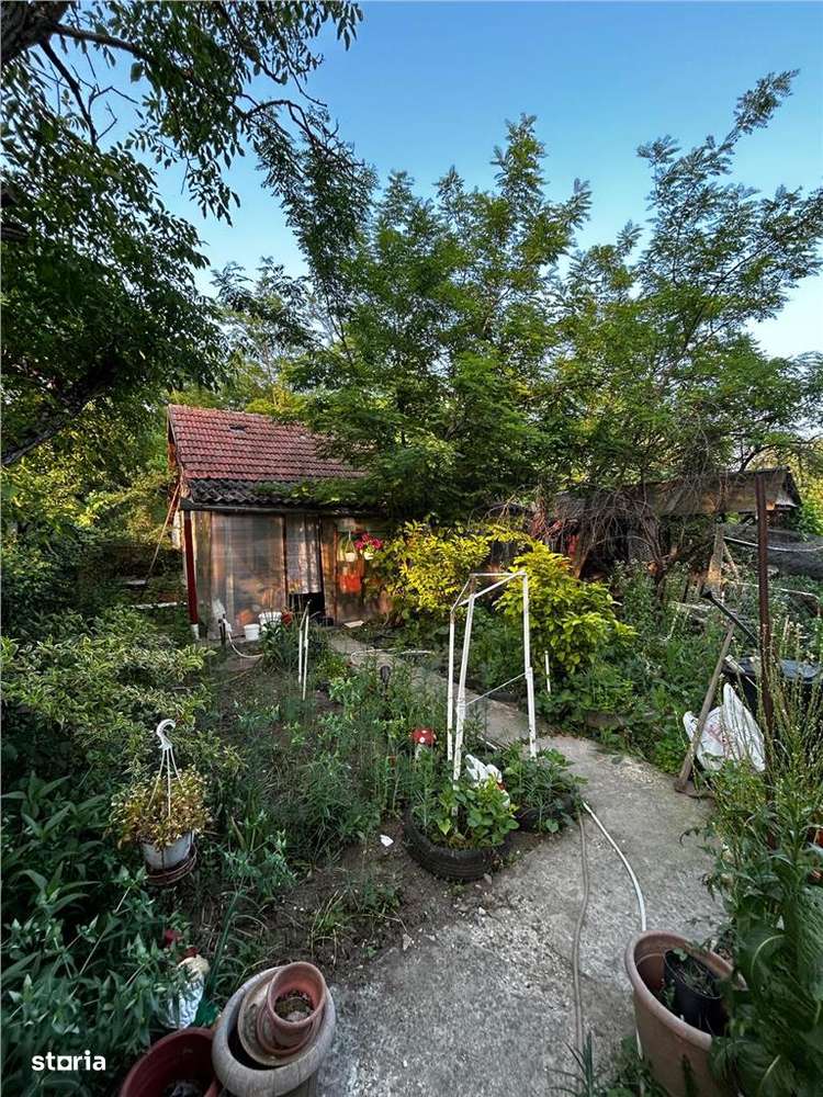 RECO Terenuri intravilane+ Teren Extravilan 8200 mp, Cartier Podgoria - Imagine principală: 1/9