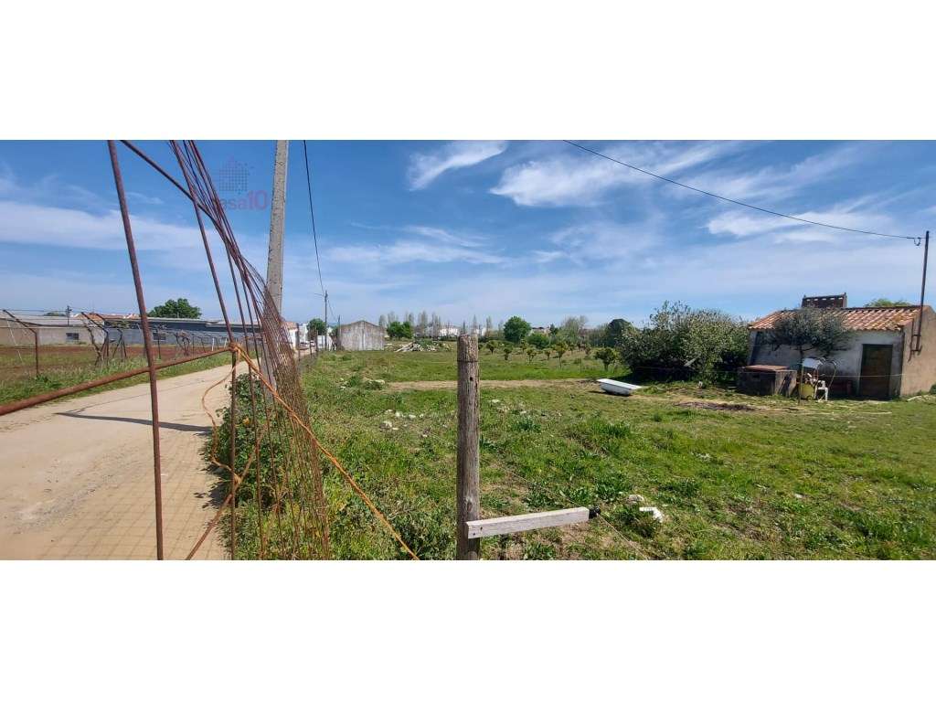 Vende-se terreno às portas da cidade de Évora! - Grande imagem: 5/9