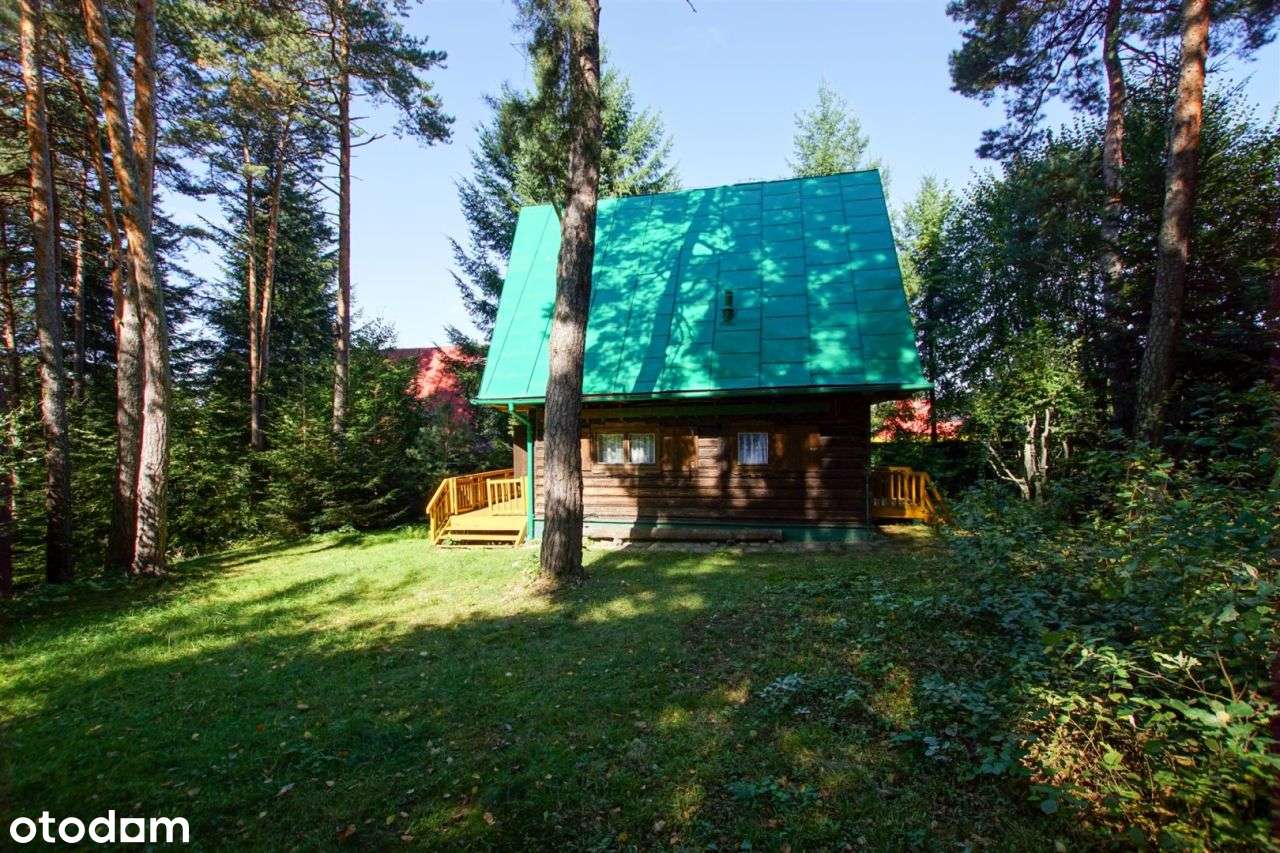 Wiśniowa dom letniskowy w górach, las,strumyk, 53a-7