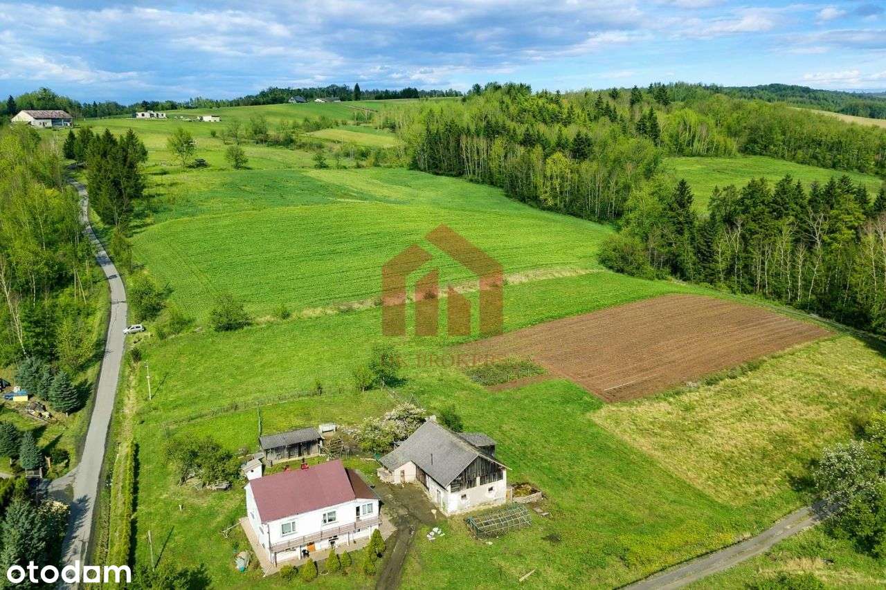 Przy lesie i widokowe działki z Wz, Uzbrojone-9