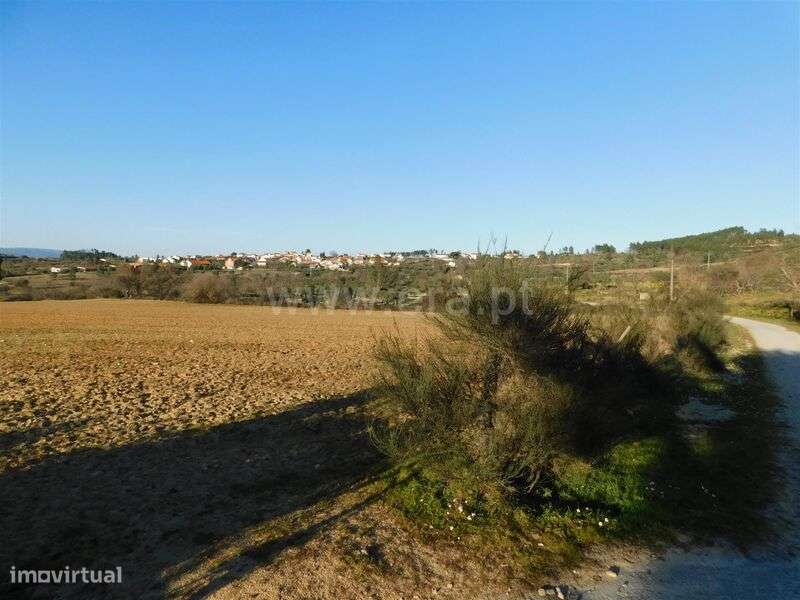 Terreno / Belmonte, Monte do Bispo - Grande imagem: 3/15