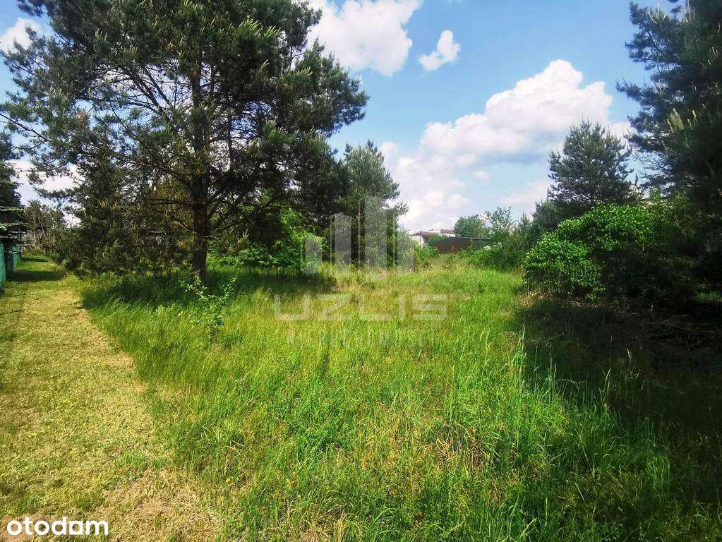 Działka budowlana, kanalizacja, woda LAS - Pełny obrazek: 4/8