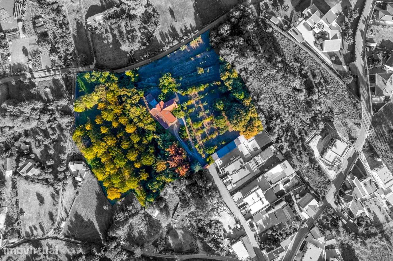 Quinta T6 | 1.7 hectares | Exclusividade e Privacidade - Grande imagem: 4/60