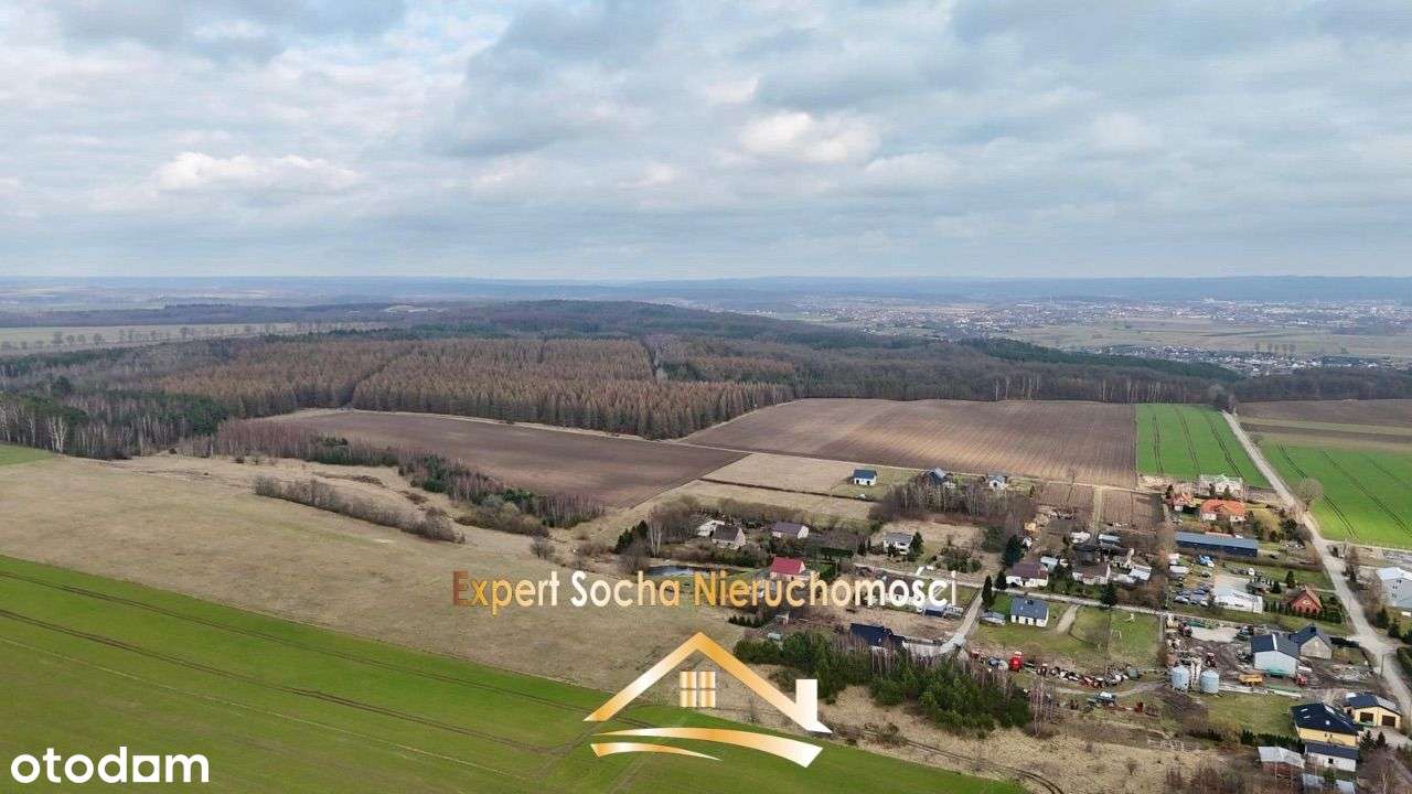 Działki położone w Kaninie gmina Nowa Wieś Lęborsk - Pełny obrazek: 3/5