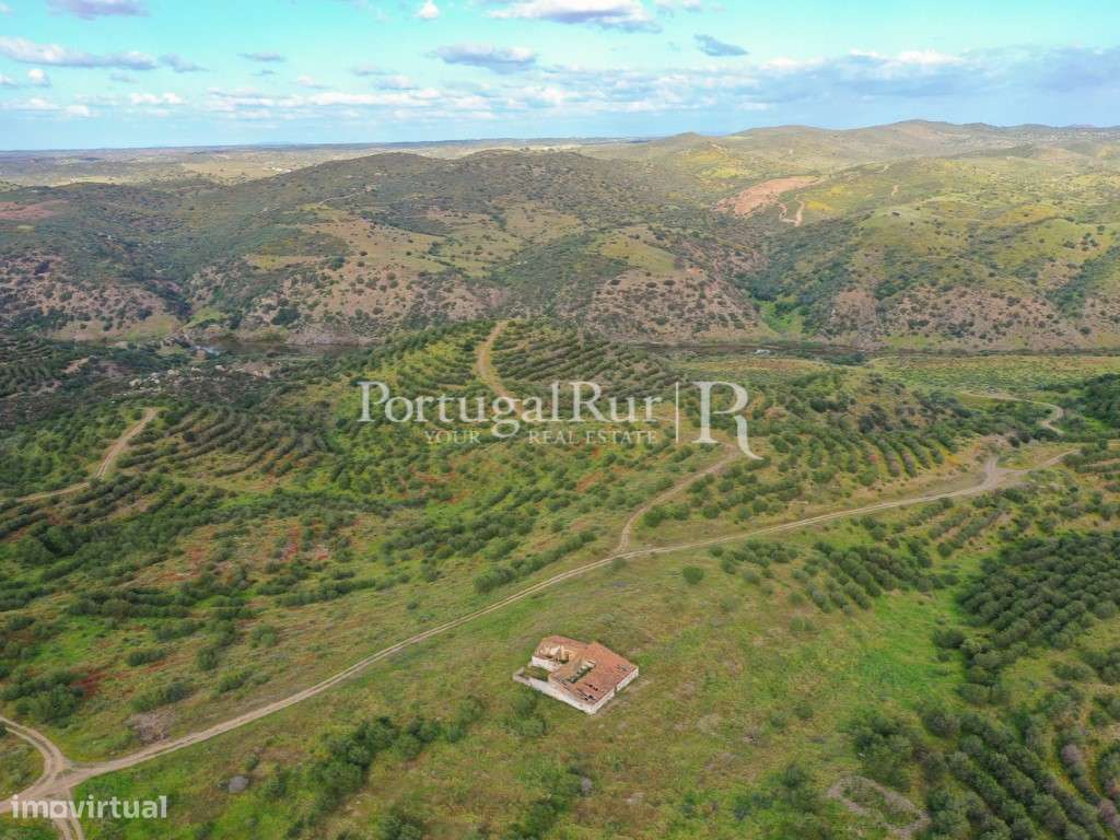Herdades de Caça com 1300 Hectares, junto do rio Guadiana-49