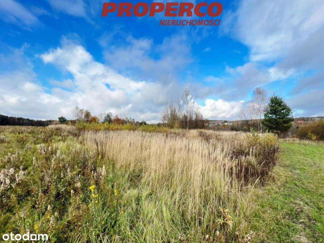 Działka 1517 m2, Masłów Pierwszy, gm. Masłów - Pełny obrazek: 4/5