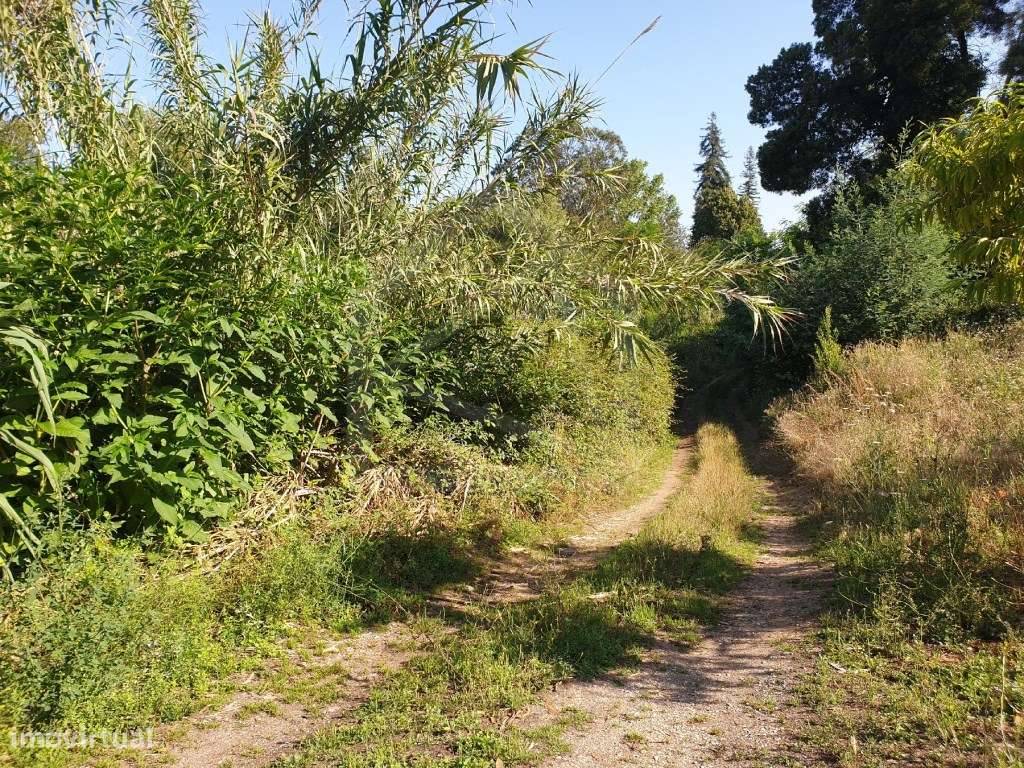 Lotes de terrenos para construção - desde 345m2 até 964m2 - Urbaniz...-6