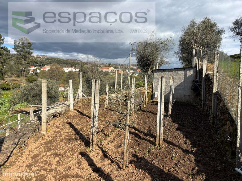 Quintinha-35
