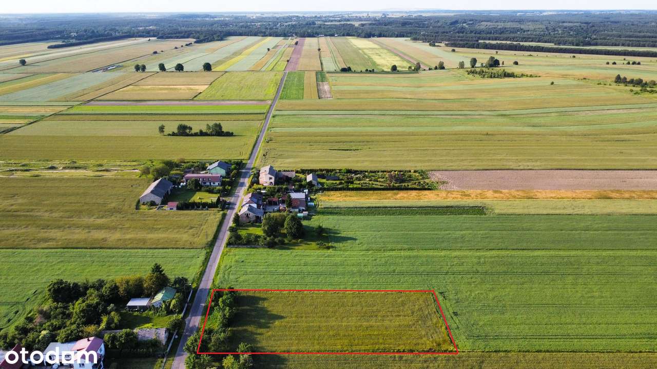 Prąd, woda, kanalizacja! Opcja podziału! 81m x 37m! BUDOWLANA !! - Pełny obrazek: 5/9