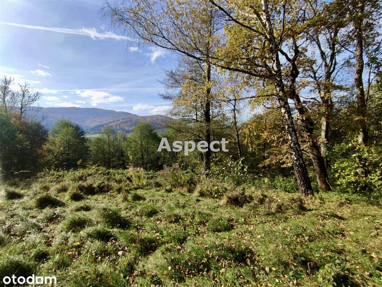 Działka budowlana 2600 m2 Brenna ul.Widokowa - Pełny obrazek: 4/11