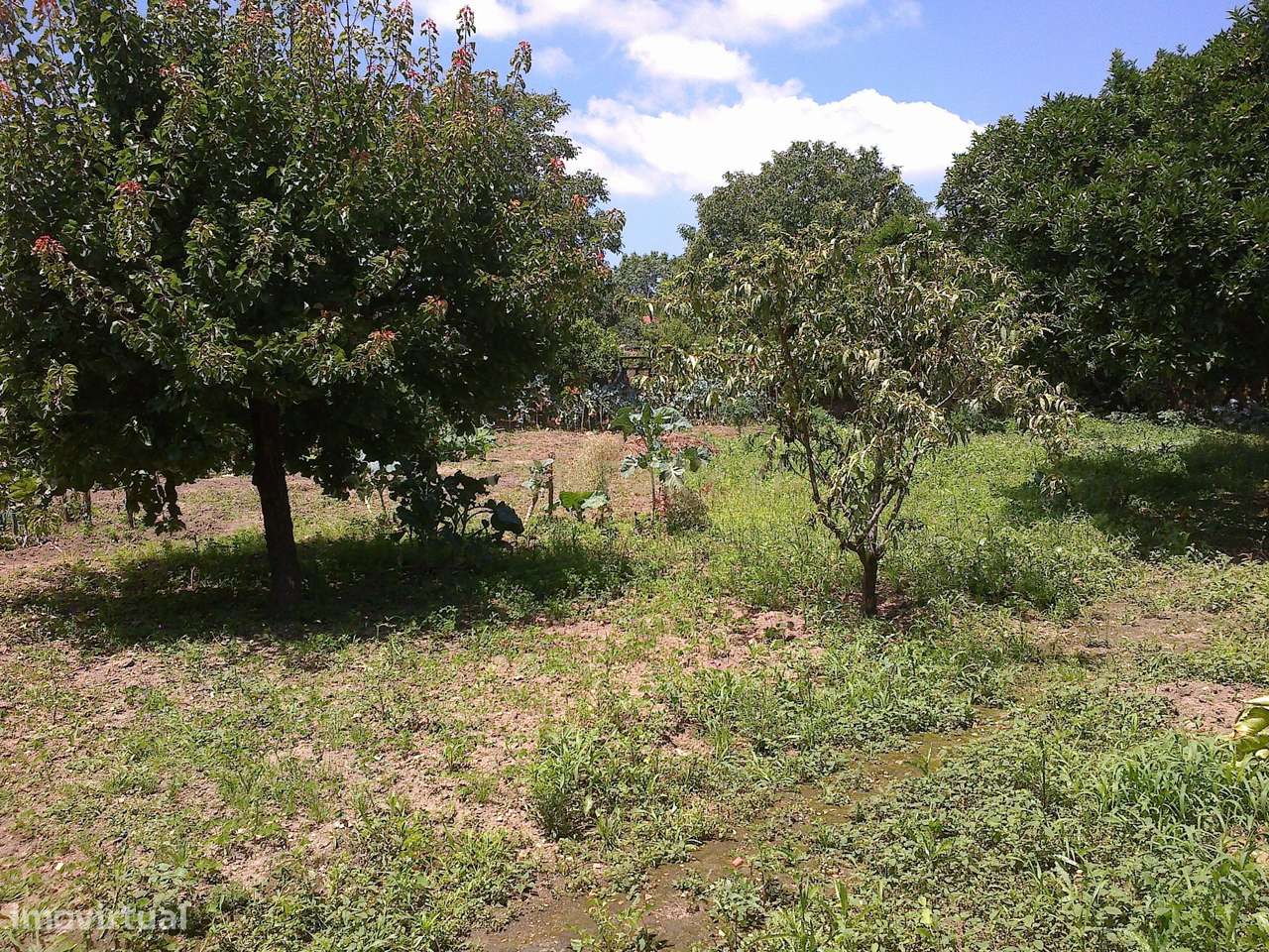 Moradia antiga + terreno envolvente - Centro da vila de Sangalhos - An-5