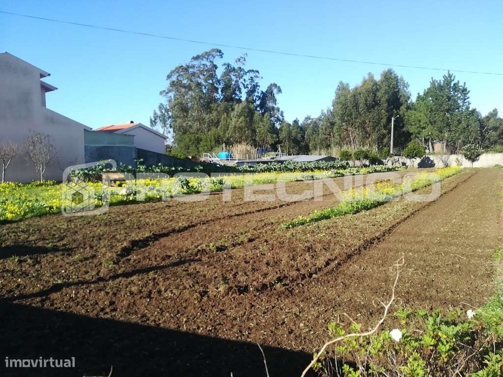 Terreno c/ 1.400m2 - Cacia - Grande imagem: 5/7