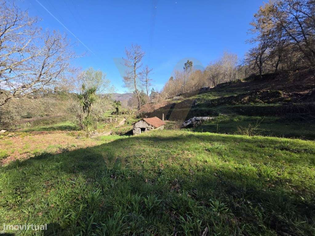 Casa rústica T0 e Terreno com Moinho | Sá - Arcos de Valdevez-12