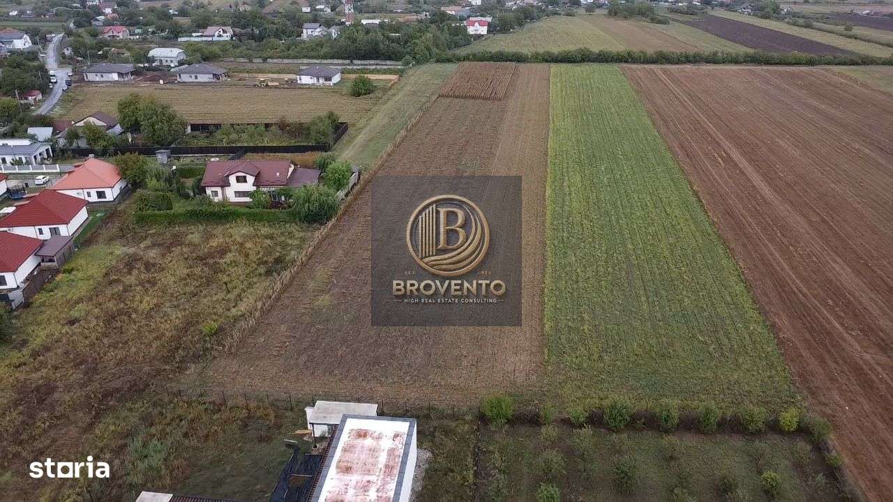 Teren Moara Vlasiei / Strada Cantonului - Padure - Imagine principală: 4/7