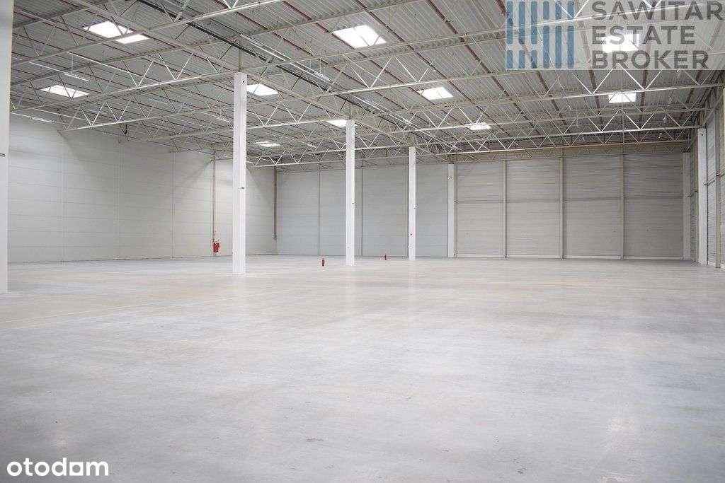 Klasa "A" od zaraz, 80m2 biura - bez prowizji - Pełny obrazek: 5/5