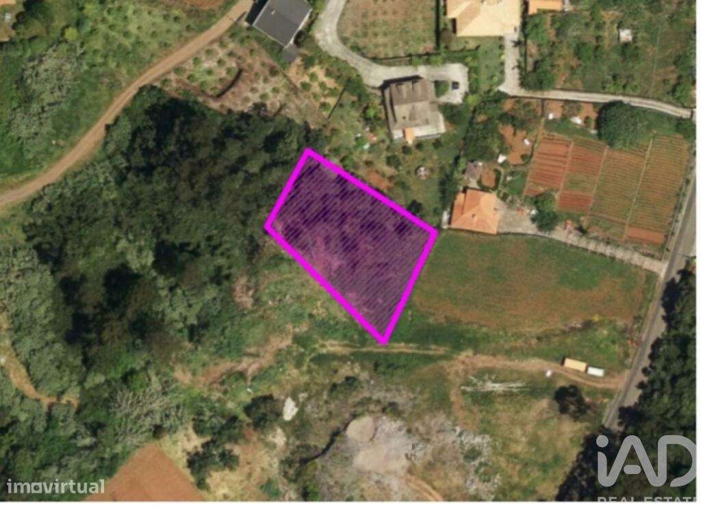 Terreno em São Jorge de 1310,00 m2 - Grande imagem: 5/6