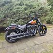 Harley-Davidson Softail - 9