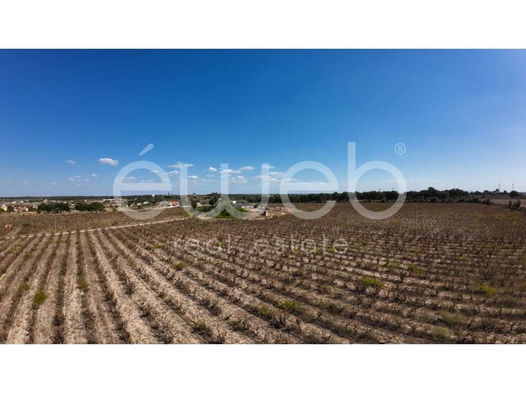 Terreno, Bairro Margaça, Águas de Moura - Grande imagem: 4/10