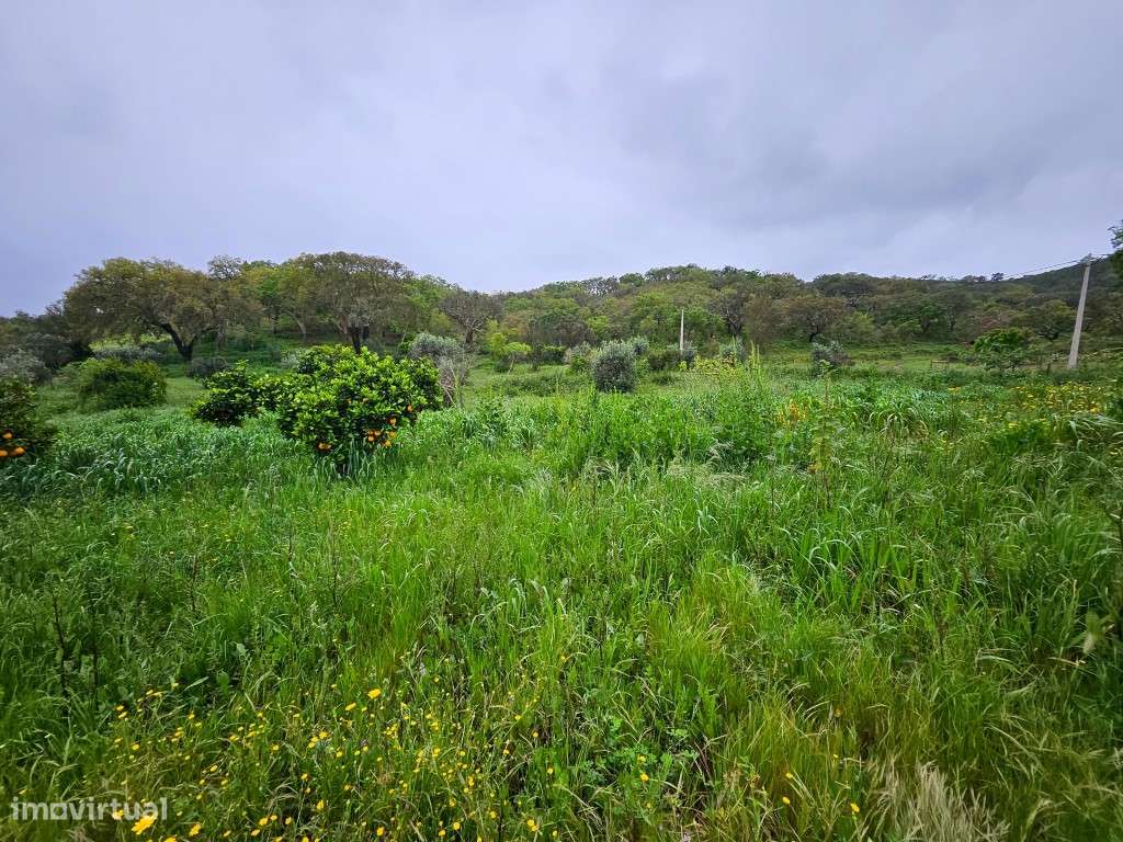 EXCLUSIVO! Quinta com Enorme Potencial no Coração do Alentejo Um Re...-48