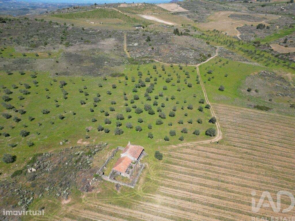 Quinta em Vilas Boas e Vilarinho das Azenhas de 400000 m2 - Grande imagem: 5/25