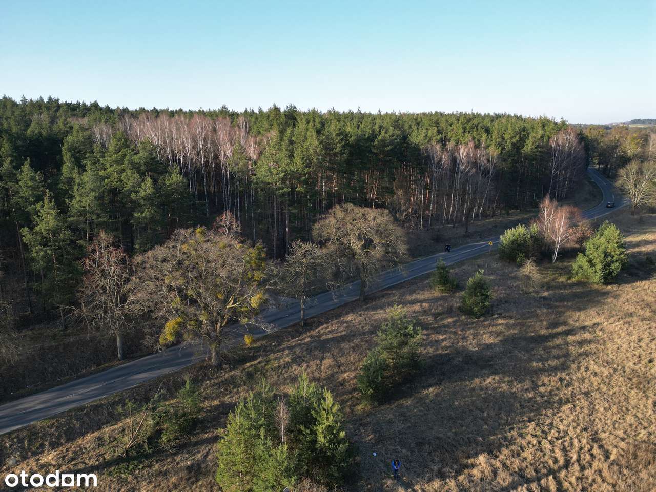 Przepiękna działka nad Liwą - Pełny obrazek: 4/16