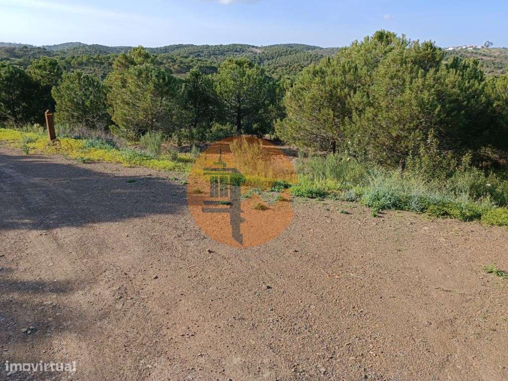 TERRENO COM 42.480 M2 - POSSIBILIDADE DE CONSTRUIR ARMAZEM - BELICH... - Grande imagem: 4/50