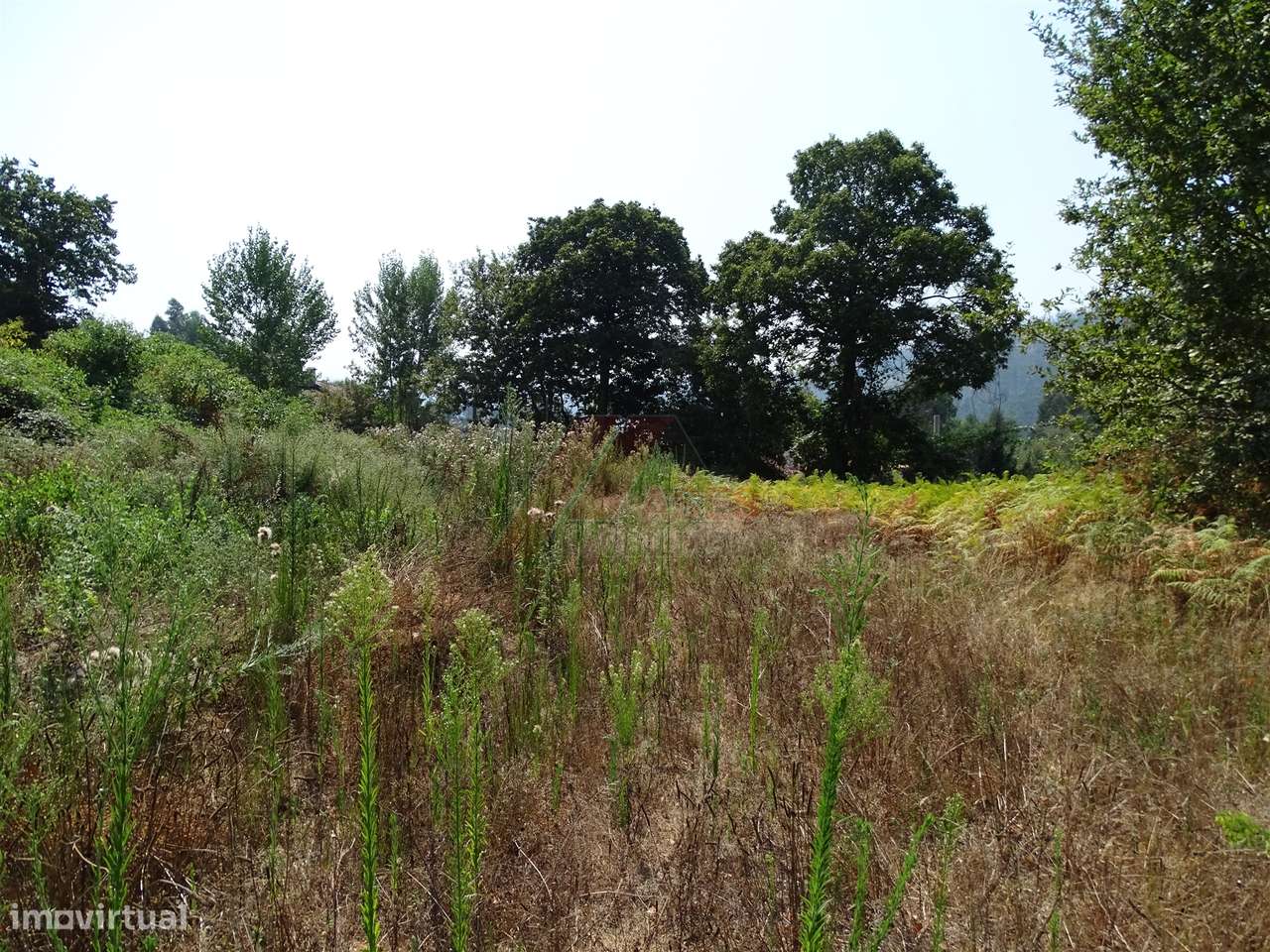 Terreno inserido em zona de construção para venda em Antime - Fafe! - Grande imagem: 5/9