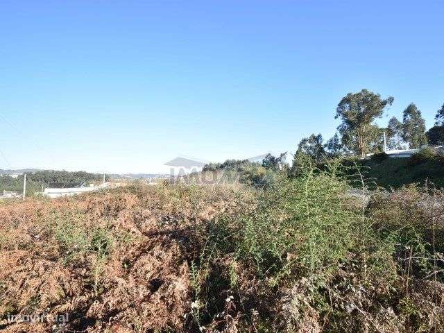 Terreno Construção - Lodares, Lousada - Grande imagem: 3/3