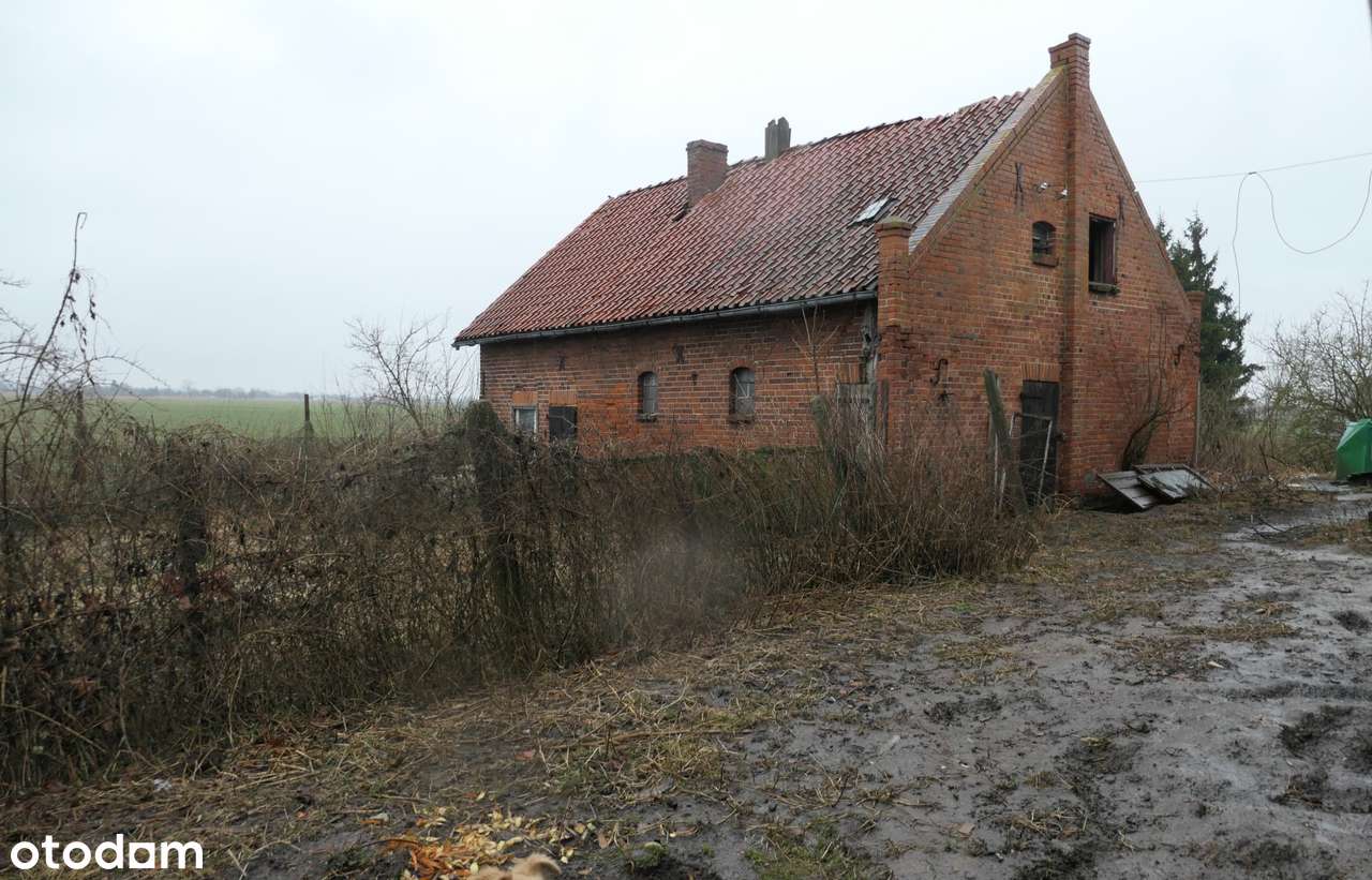 Siedlisko z potencjałem | 5 km od plaży | Łaszka k. Sztutowa-15