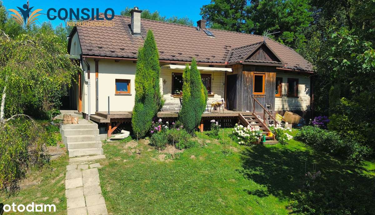 Agroturystyka! Dom Spokojnej Starości dla Koni! - Pełny obrazek: 4/13