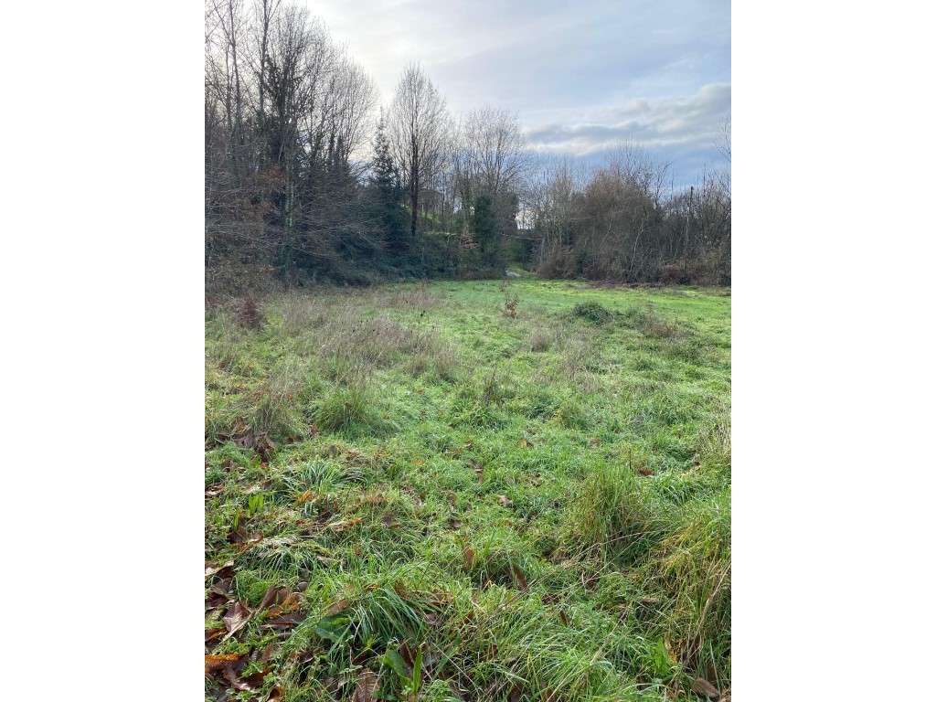 Quinta dos Chãos - Refúgio Natural para Agricultura - Grande imagem: 5/28