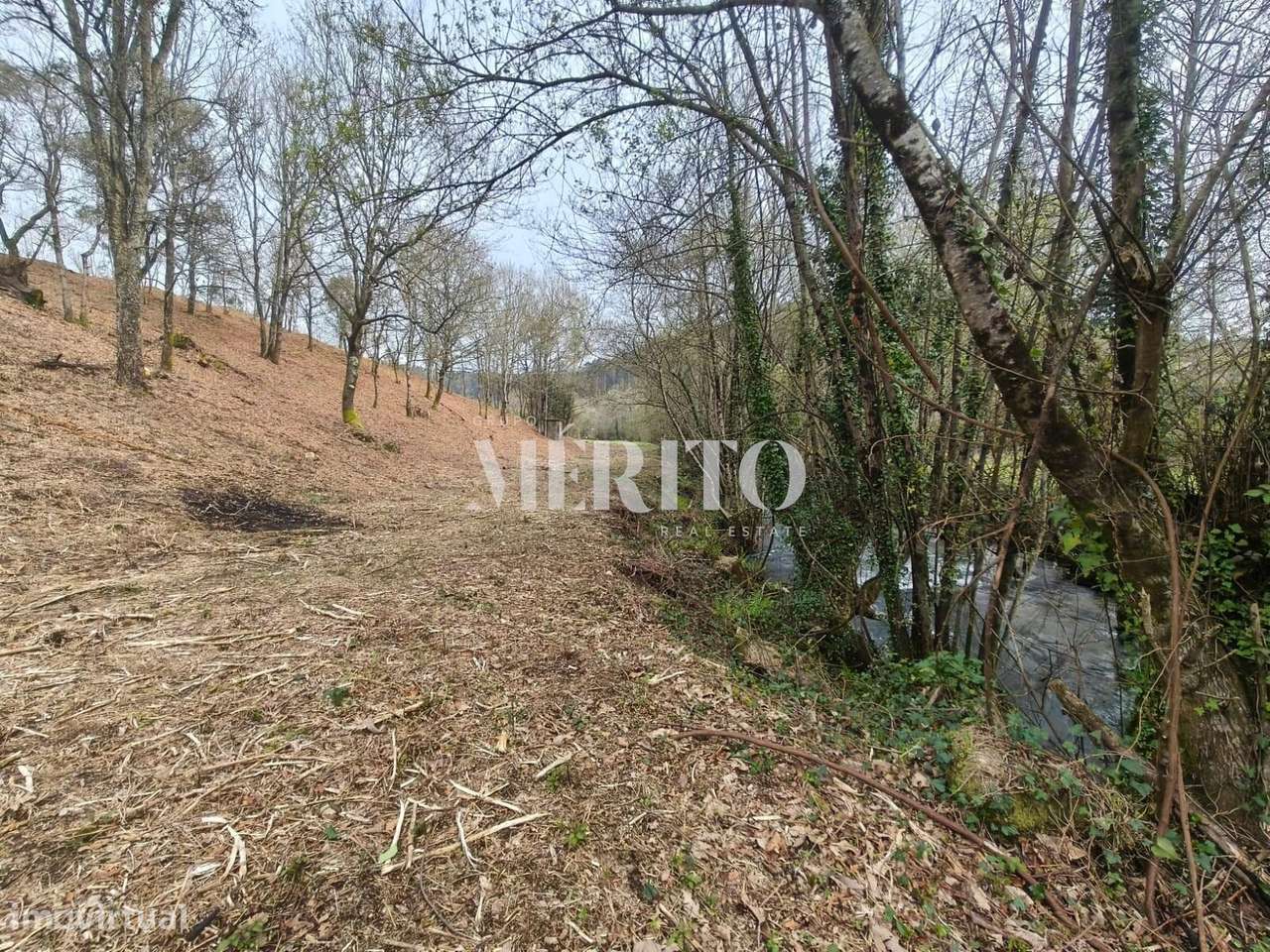 Terreno Agrícola com 10.760m2 em Cossourado frente ao Rio Neiva-6