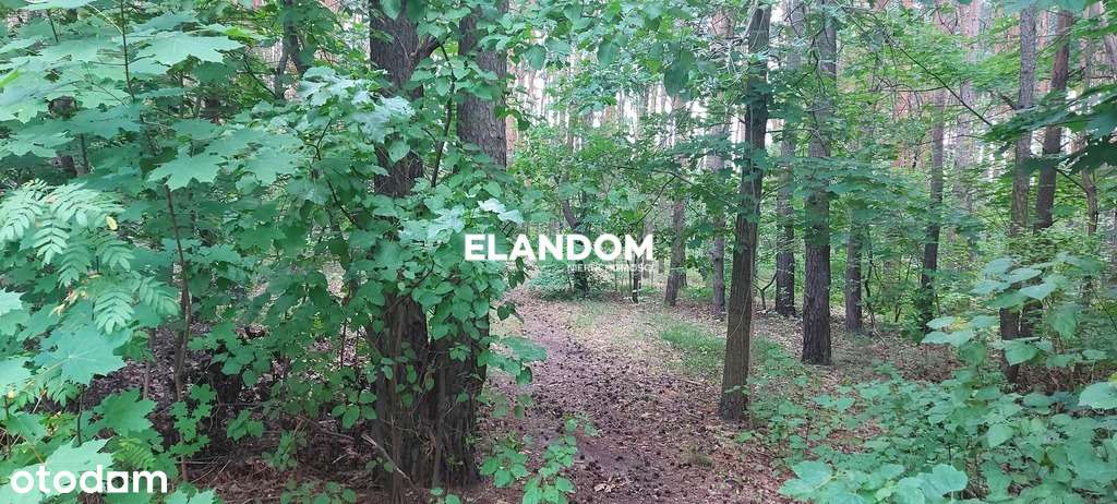 Działka 1900 m2 na poczekanie - Pełny obrazek: 4/8