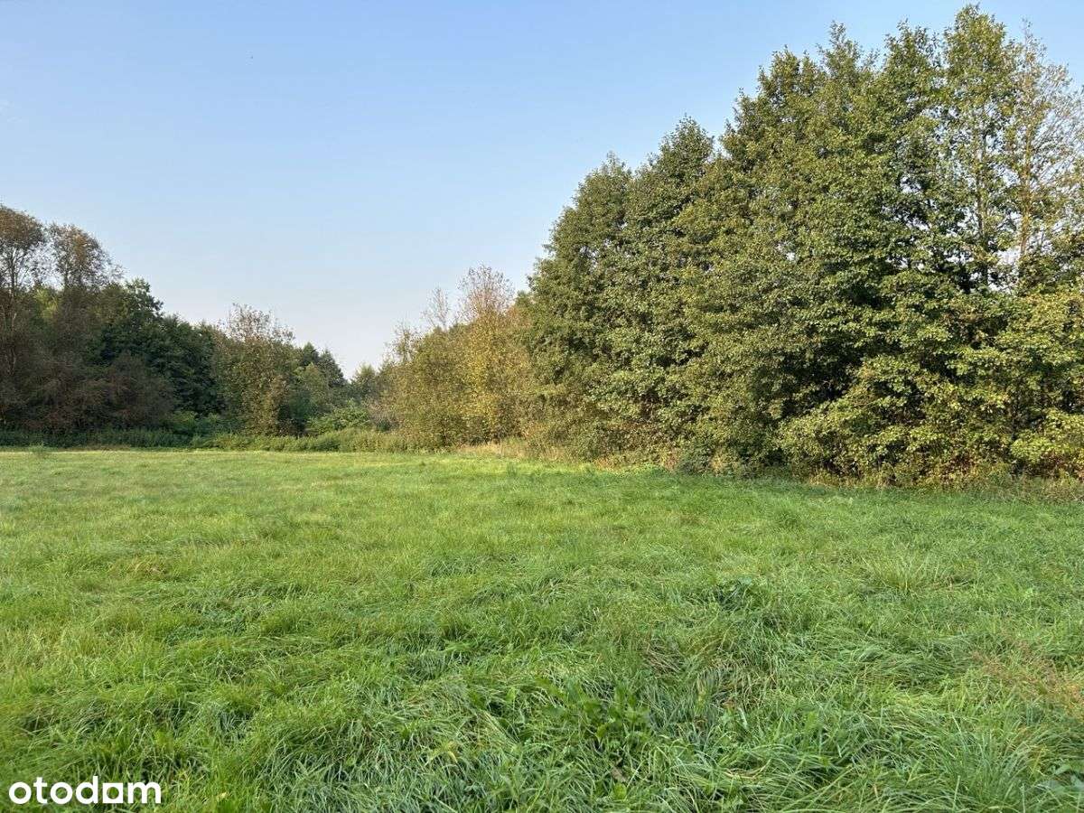 Działka pod zabudowę przemysłową z mpzp pod Mławą - Pełny obrazek: 5/12