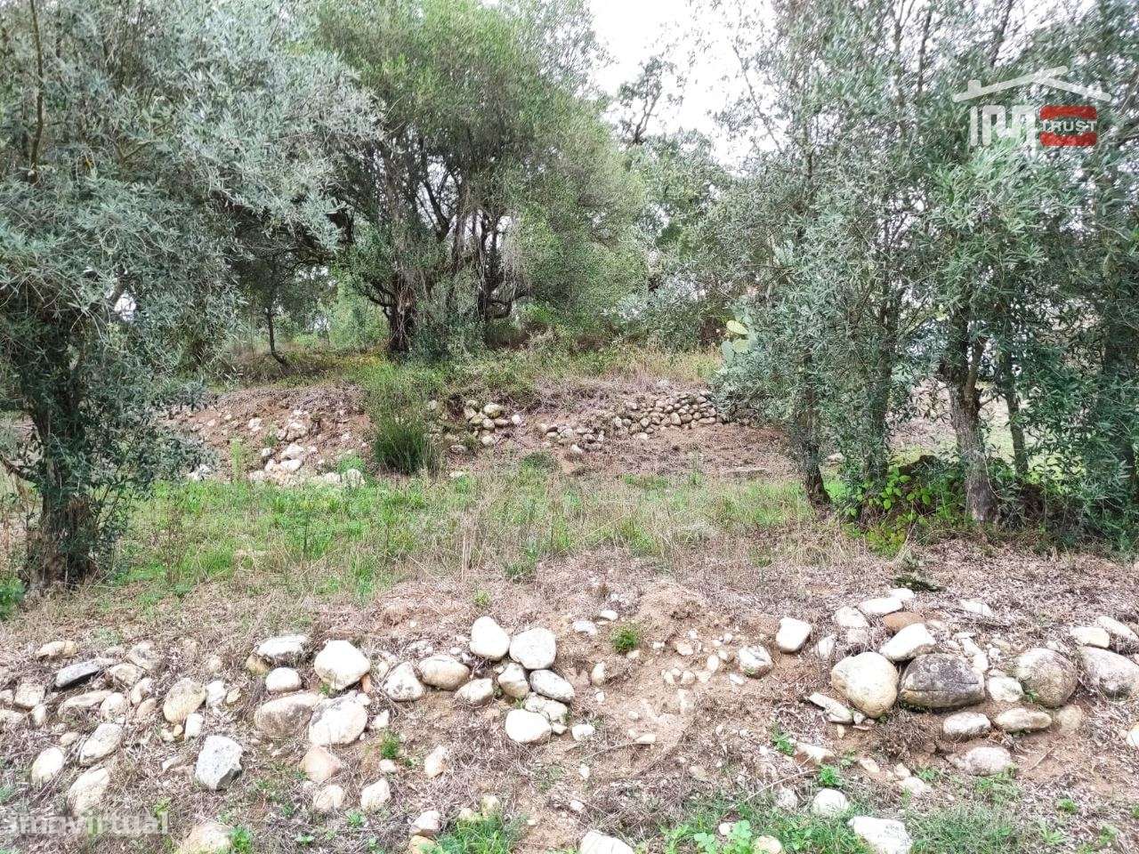 Terreno rústico, para construção. - Grande imagem: 2/6