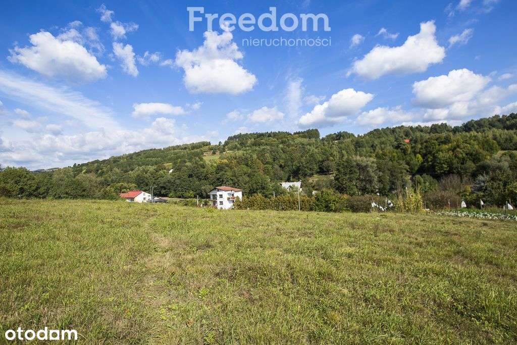 Działka budowlana z widokiem | 41 ar w Cieszynie-8