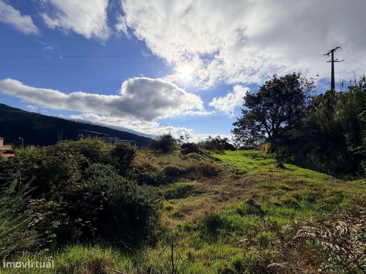 Terreno em Prazeres - Calheta - Grande imagem: 4/5