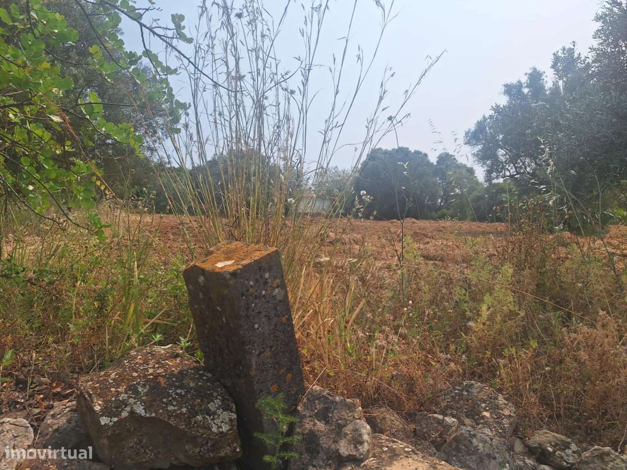 Terreno Rústico em Bordeira-8