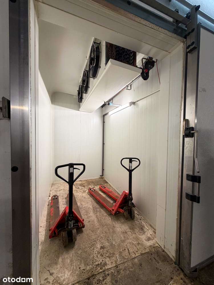 Nowoczesna i wyposażona pieczarkarnia z częścią magazynową – Janowo,-10