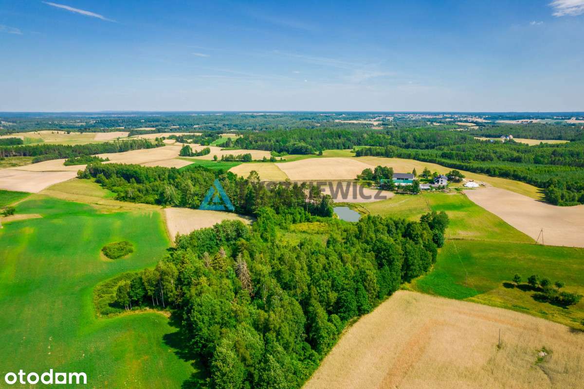 Malownicza Zalesiona Działka Ze Stawem W Gołczewie - Pełny obrazek: 4/16